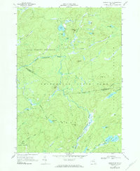 Download a high-resolution, GPS-compatible USGS topo map for Oswegatchie SE, NY (1984 edition)
