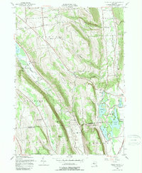Download a high-resolution, GPS-compatible USGS topo map for Otisco Valley, NY (1989 edition)