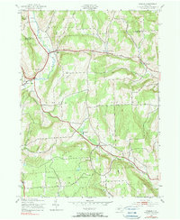 Download a high-resolution, GPS-compatible USGS topo map for Otselic, NY (1990 edition)