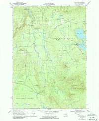 Download a high-resolution, GPS-compatible USGS topo map for Owls Head, NY (1988 edition)