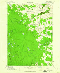 Download a high-resolution, GPS-compatible USGS topo map for Page, NY (1960 edition)
