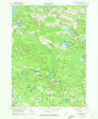 Download a high-resolution, GPS-compatible USGS topo map for Panther Lake, NY (1972 edition)