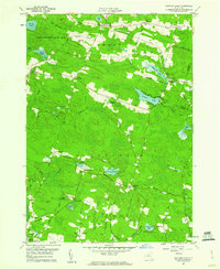 Download a high-resolution, GPS-compatible USGS topo map for Panther Lake, NY (1960 edition)