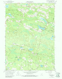 Download a high-resolution, GPS-compatible USGS topo map for Panther Lake, NY (1988 edition)