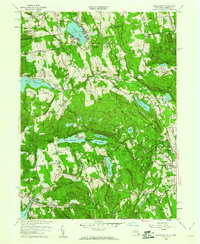 Download a high-resolution, GPS-compatible USGS topo map for Peach Lake, NY (1960 edition)