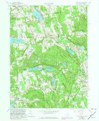 Download a high-resolution, GPS-compatible USGS topo map for Peach Lake, NY (1981 edition)