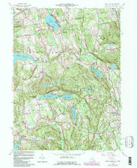 Download a high-resolution, GPS-compatible USGS topo map for Peach Lake, NY (1988 edition)