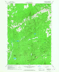 Download a high-resolution, GPS-compatible USGS topo map for Peasleeville, NY (1968 edition)