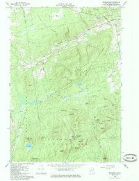 Download a high-resolution, GPS-compatible USGS topo map for Peasleeville, NY (1985 edition)