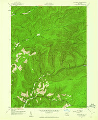 Download a high-resolution, GPS-compatible USGS topo map for Peekamoose Mountain, NY (1960 edition)