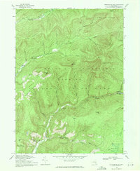 Download a high-resolution, GPS-compatible USGS topo map for Peekamoose Mtn, NY (1971 edition)