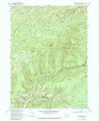 Download a high-resolution, GPS-compatible USGS topo map for Peekamoose Mtn, NY (1989 edition)