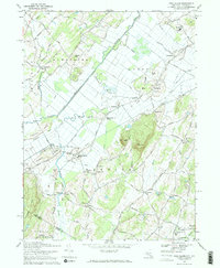 Download a high-resolution, GPS-compatible USGS topo map for Pine Island, NY (1971 edition)