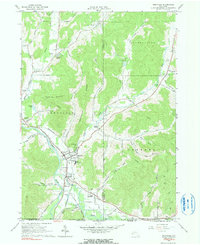 Download a high-resolution, GPS-compatible USGS topo map for Portville, NY (1990 edition)