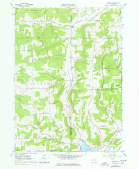 Download a high-resolution, GPS-compatible USGS topo map for Rawson, NY (1978 edition)