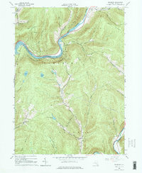 Download a high-resolution, GPS-compatible USGS topo map for Readburn, NY (1976 edition)