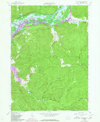 Download a high-resolution, GPS-compatible USGS topo map for Red House, NY (1980 edition)