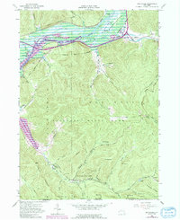 Download a high-resolution, GPS-compatible USGS topo map for Red House, NY (1991 edition)