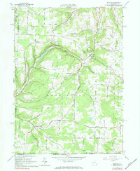 Download a high-resolution, GPS-compatible USGS topo map for Rexville, NY (1984 edition)