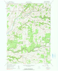 Download a high-resolution, GPS-compatible USGS topo map for Rodman, NY (1991 edition)