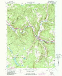 Download a high-resolution, GPS-compatible USGS topo map for Roscoe, NY (1989 edition)
