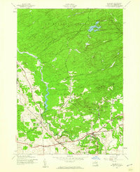 Download a high-resolution, GPS-compatible USGS topo map for Salisbury, NY (1960 edition)