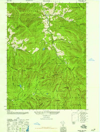 preview thumbnail of historical topo map of Ulster County, NY in 1946