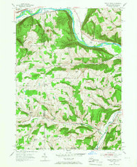 Download a high-resolution, GPS-compatible USGS topo map for Seeley Creek, NY (1955 edition)