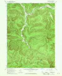 Download a high-resolution, GPS-compatible USGS topo map for Shandaken, NY (1969 edition)