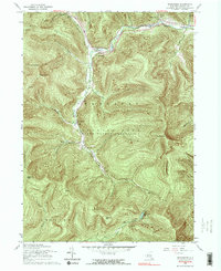 preview thumbnail of historical topo map of Ulster County, NY in 1960