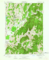 Download a high-resolution, GPS-compatible USGS topo map for Shushan, NY (1964 edition)