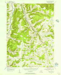 Download a high-resolution, GPS-compatible USGS topo map for South Canisteo, NY (1956 edition)
