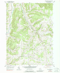 Download a high-resolution, GPS-compatible USGS topo map for South Canisteo, NY (1988 edition)
