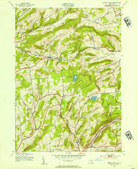 Download a high-resolution, GPS-compatible USGS topo map for South Valley, NY (1954 edition)