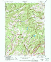 Download a high-resolution, GPS-compatible USGS topo map for South Valley, NY (1994 edition)