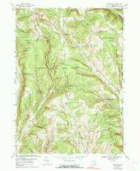 Download a high-resolution, GPS-compatible USGS topo map for Speedsville, NY (1990 edition)