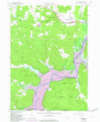 Download a high-resolution, GPS-compatible USGS topo map for Steamburg, NY (1980 edition)