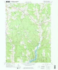 Download a high-resolution, GPS-compatible USGS topo map for Trout Creek, NY (1976 edition)