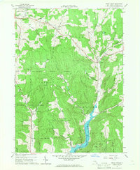 Download a high-resolution, GPS-compatible USGS topo map for Trout Creek, NY (1966 edition)
