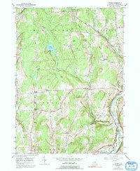 Download a high-resolution, GPS-compatible USGS topo map for Tyner, NY (1992 edition)