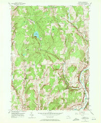 Download a high-resolution, GPS-compatible USGS topo map for Tyner, NY (1972 edition)