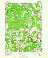 preview thumbnail of historical topo map of Chenango County, NY in 1949