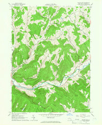 preview thumbnail of historical topo map of Delaware County, NY in 1965