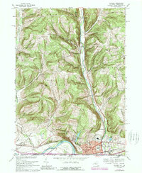 Download a high-resolution, GPS-compatible USGS topo map for Waverly, NY (1989 edition)