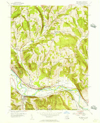 Download a high-resolution, GPS-compatible USGS topo map for Wellsburg, NY (1956 edition)
