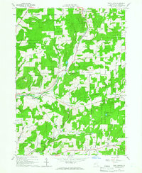 Download a high-resolution, GPS-compatible USGS topo map for West Almond, NY (1966 edition)
