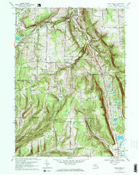 Download a high-resolution, GPS-compatible USGS topo map for West Danby, NY (1971 edition)