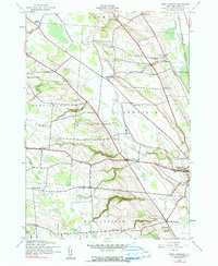 Download a high-resolution, GPS-compatible USGS topo map for West Lowville, NY (1990 edition)