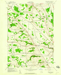Download a high-resolution, GPS-compatible USGS topo map for West Lowville, NY (1960 edition)