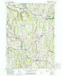 Download a high-resolution, GPS-compatible USGS topo map for Westerlo, NY (1988 edition)